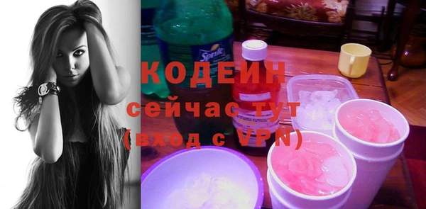 дмт Дмитров