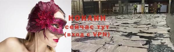 ГАЛЛЮЦИНОГЕННЫЕ ГРИБЫ Семилуки