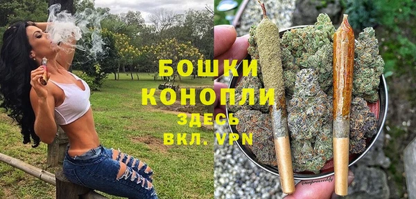 дмт Дмитров