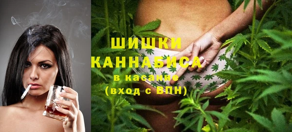 mdpv Ельня